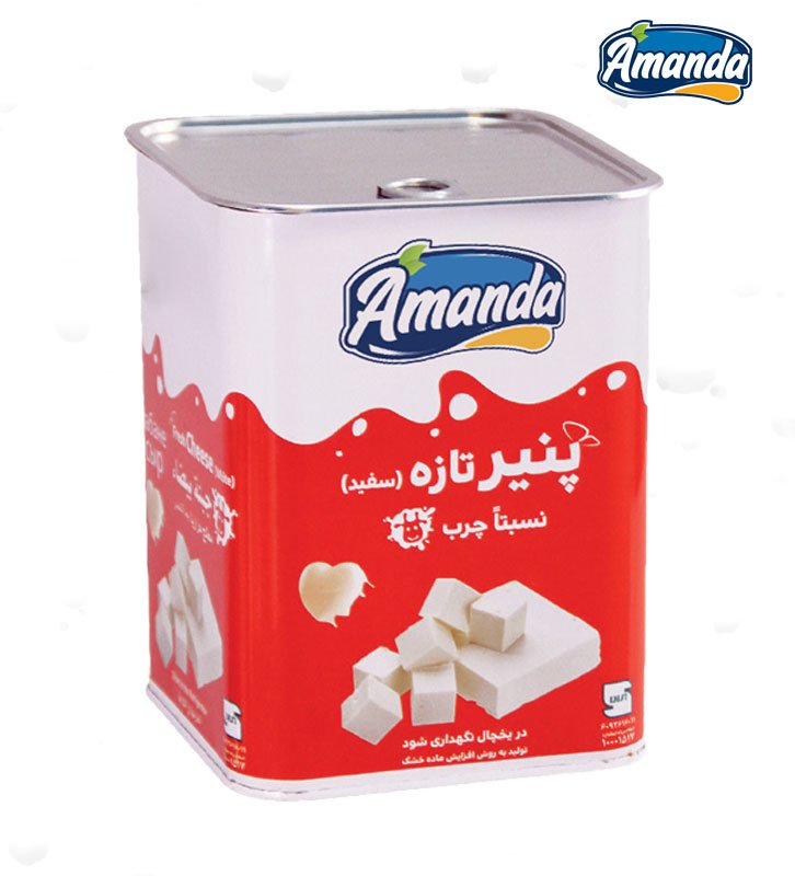 پنیر تازه نسبتا چرب